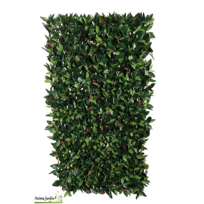 Treillis extensible en osier 2x1 m, Feuille de Photinia