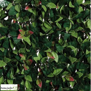 Treillis extensible en osier 2x1 m, Feuille de Photinia