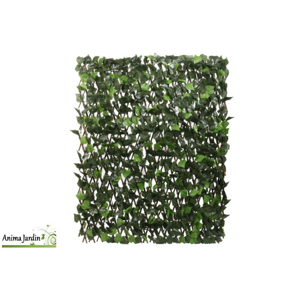 Treillis extensible en osier 2x1 m, Feuilles lierre bicolore