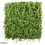 Mur végétal décoratif, Artificiel Forêt Tempérée 1x1m