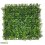 Mur végétal décoratif, Artificiel Buis 50x50cm