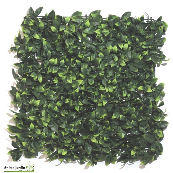 Mur végétal décoratif, Artificiel Laurier 50x50cm