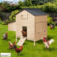 Poulailler chalet avec pondoir en bois XL, 6-10 poules