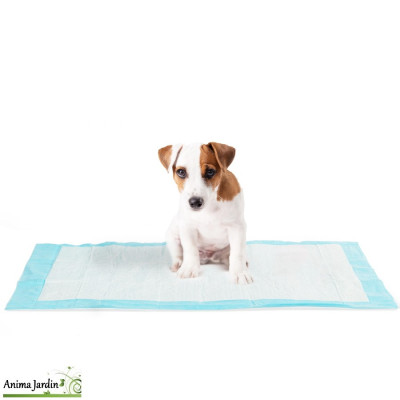 Lot de 100 tapis éducateurs pour chiens
