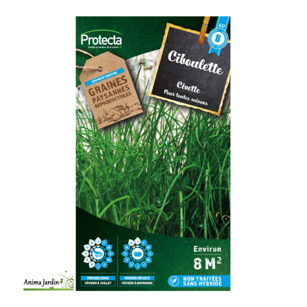 Graines de Ciboulette, Pour toutes saisons, graines aromatiques