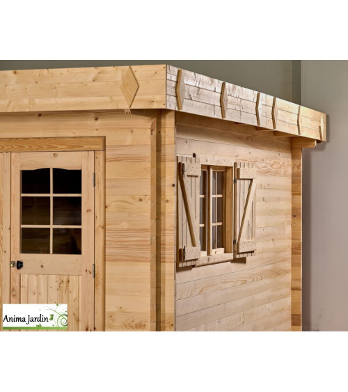 Grand abri de jardin en bois, 42 mm, semi-habitable, 17,47 m², toit plat, Foresta, achat, pas cher