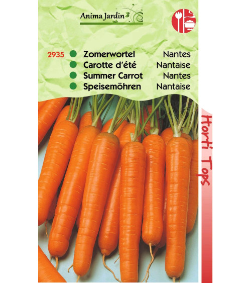 Lot 10 paquets graines légumes potager jardin ouvrier, salade, radis, tomate, carotte, poireau, pas cher, économique 