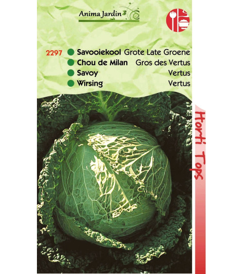 Lot 10 paquets graines légumes potager jardin ouvrier, salade, radis, tomate, carotte, poireau, pas cher, économique 