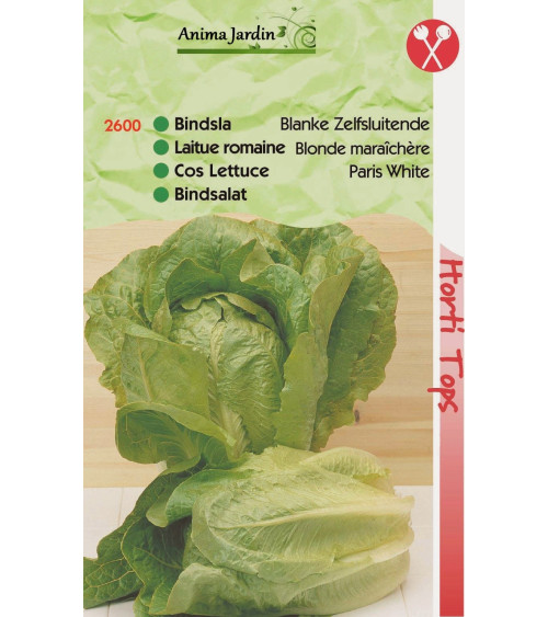 Lot 10 paquets graines légumes potager jardin ouvrier, salade, radis, tomate, carotte, poireau, pas cher, économique 