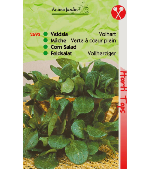 Lot 10 paquets graines légumes potager jardin ouvrier, salade, radis, tomate, carotte, poireau, pas cher, économique 