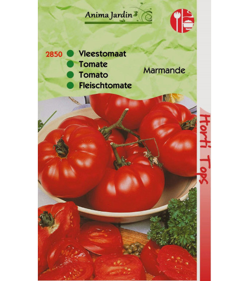 Lot 10 paquets graines légumes potager jardin ouvrier, salade, radis, tomate, carotte, poireau, pas cher, économique 