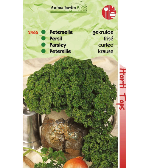 Lot 10 paquets graines légumes potager jardin ouvrier, salade, radis, tomate, carotte, poireau, pas cher, économique 