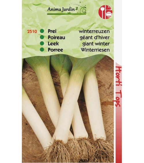 Lot 10 paquets graines légumes potager jardin ouvrier, salade, radis, tomate, carotte, poireau, pas cher, économique 