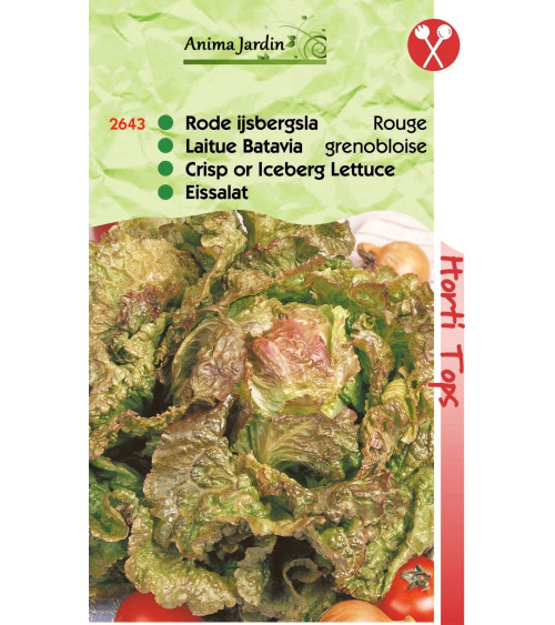 Lot 10 paquets graines légumes potager jardin ouvrier, salade, radis, tomate, carotte, poireau, pas cher, économique 