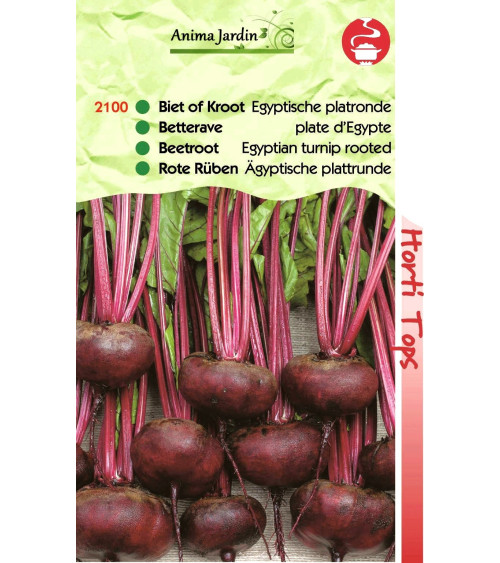 Lot 10 paquets graines légumes potager jardin ouvrier, salade, radis, tomate, carotte, poireau, pas cher, économique 