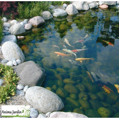 Pompe Smartmax 1500 à 10000 Fi, Pompe pour filtres et ruisseaux