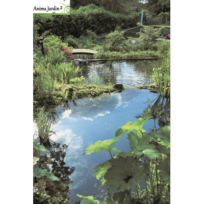 Bassin de jardin Ocean I, 1500 litres, bassin rigide de 3,83 m², PE noir