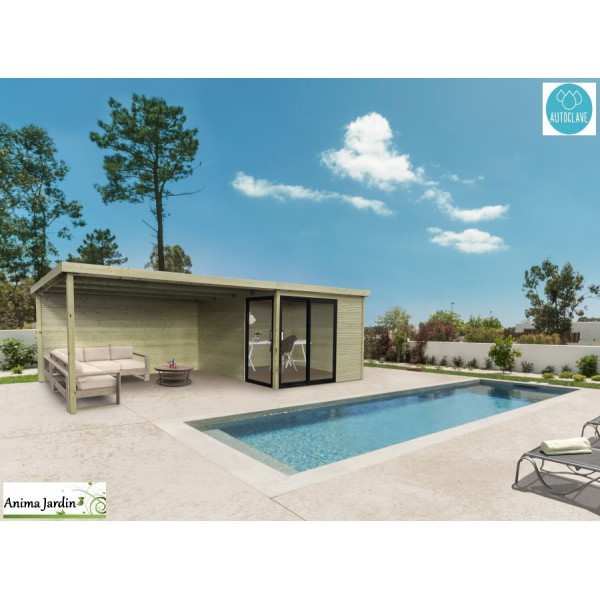 Abri de jardin en bois avec baies vitrées traité autoclave, Sagres, 28 mm, 9,22 m²