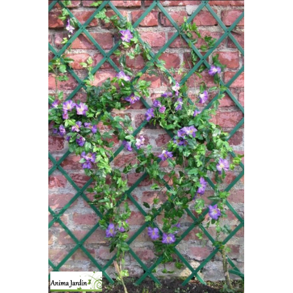 Treillis décoratif PVC extensibles vert, Ideal Garden