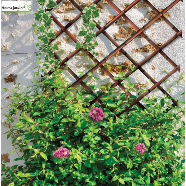 Treillis en osier naturel extensibles, Ideal Garden