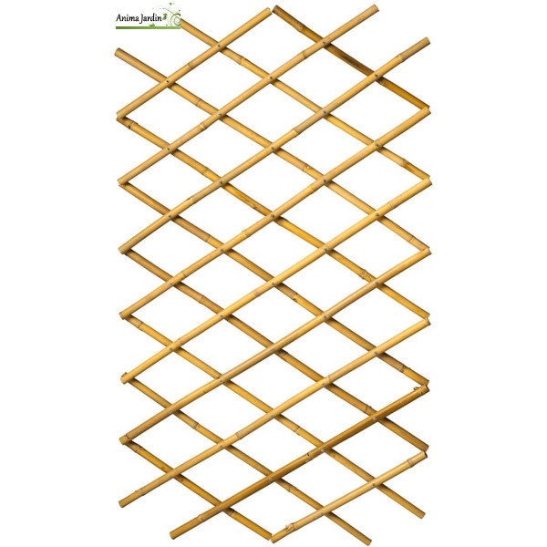 Treillis décoratif extensible en bambou naturel