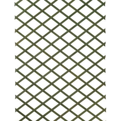 Treillis décoratif extensible en pin coloré vert, Oxana