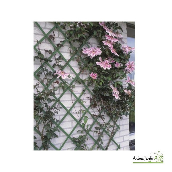 Treillis décoratif extensible en PVC vert, Paliss