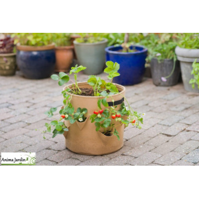 Sac de plantation spécial fraises, 8 poches de culture, BerryBag