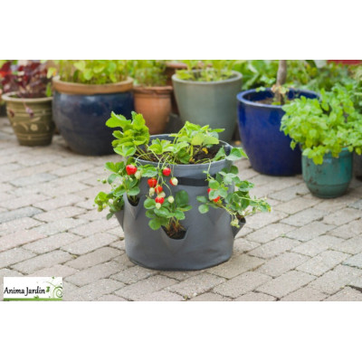 Sac de plantation spécial fraises, 8 poches de culture, BerryBag