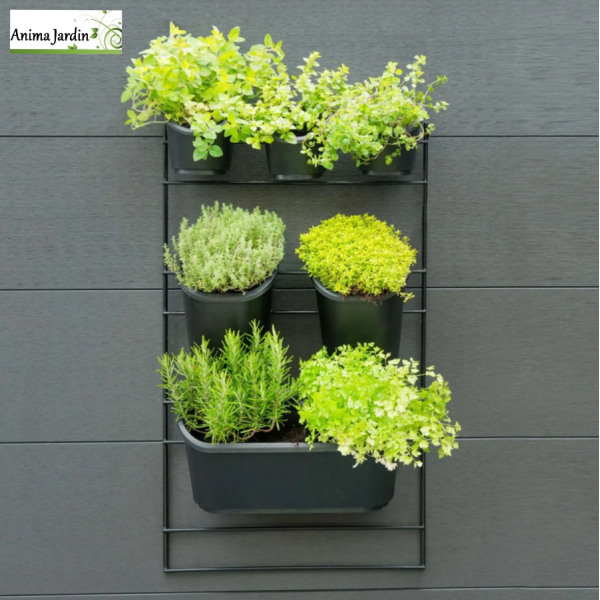 Jardin vertical mural sur cadre, jardinière mural, H.84 cm