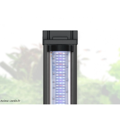 Aquarium, Volga 350, capacité 350L, kit complet, éclairage, pompe de filtration, Aquatlantis