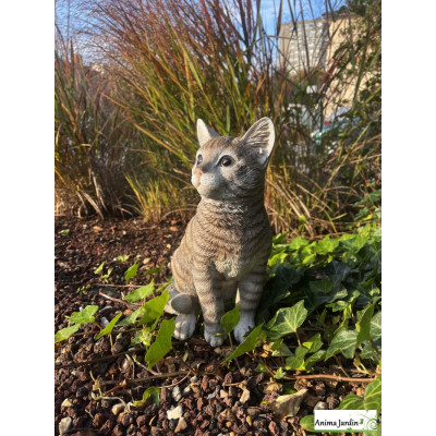 Chat Gris assis 30cm en résine, déco de jardin, Riviera, achat, animal