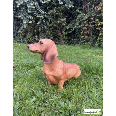 Chien Teckel, H.32,5 cm, animal en polyrésine, décoration du jardin