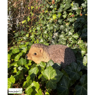 Hérisson en résine, Riviera, achat, animal de la forêt, déco jardin
