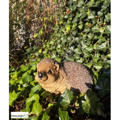 Hérisson en résine, Riviera, achat, animal de la forêt, déco jardin