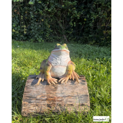 Grenouille, 19,2 cm, figurine, animal en polyrésine, décoration du jardin, achat, vente, pas cher