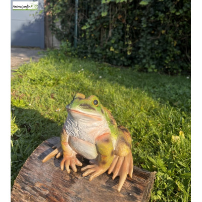 Grenouille, 19,2 cm, figurine, animal en polyrésine, décoration du jardin, achat, vente, pas cher