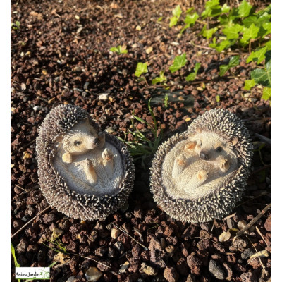 Lot de 2 bébés hérissons en boule, animal en résine, décoration de jardin, Riviera, achat, vente, pas cher