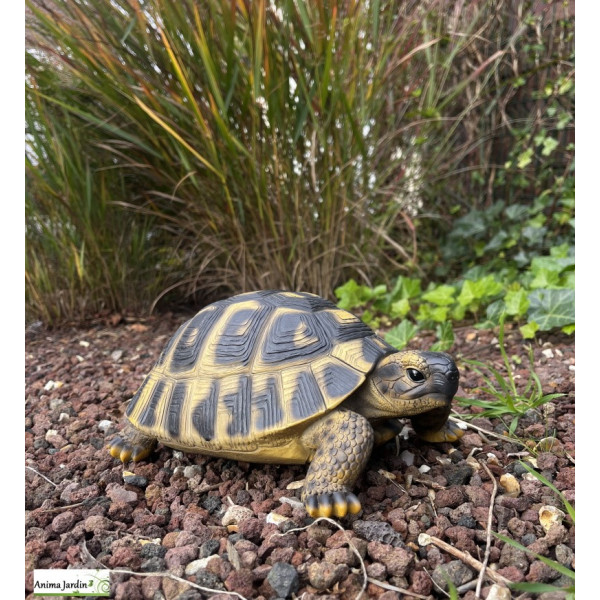 Tortue Hermann,  24 cm en résine, déco de jardin, Riviera, achat, réptile, animal