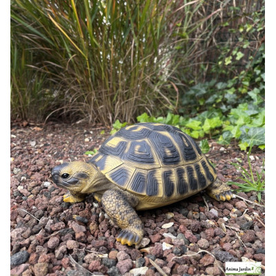 Tortue Hermann,  12 cm en résine, déco de jardin, Riviera, achat, reptile, animal