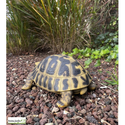 Tortue Hermann,  12 cm en résine, déco de jardin, Riviera, achat, reptile, animal