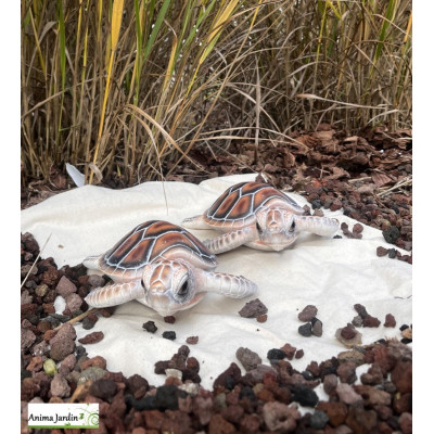 Bébé Tortue de mer en résine, décoration de jardin, déco vitrine