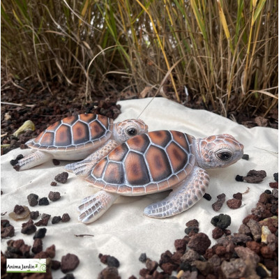 Bébé Tortue de mer en résine, décoration de jardin, déco vitrine