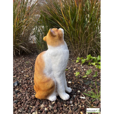 Chat, 33 cm, regard vers le haut, animal en Polyrésine, décoration du jardin
