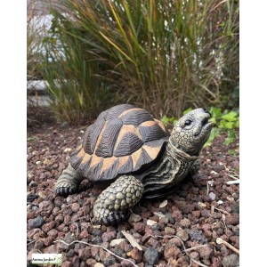 Tortue verte, 28 cm en résine, déco de jardin, Riviera, achat, réptile, animal