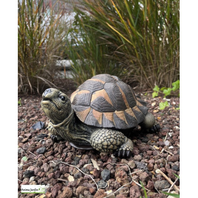 Tortue verte, 28 cm en résine, déco de jardin, Riviera, achat, réptile, animal