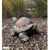 Tortue verte, 28 cm en résine, déco de jardin, Riviera, achat, réptile, animal