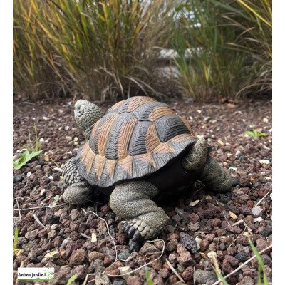 Tortue verte, 28 cm en résine, déco de jardin, Riviera, achat, réptile, animal
