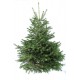 Sapin de noël Nordmann coupé 80/100 cm, livré chez vous