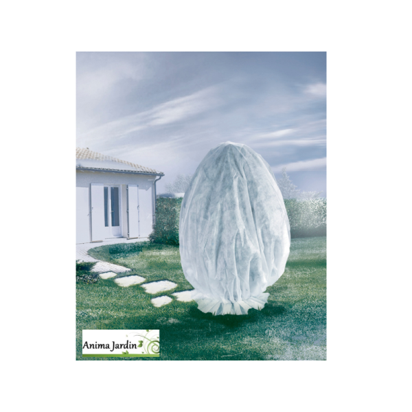 Voile d'hivernage pour plante HiverTex, 2 x 5 m, Nortene